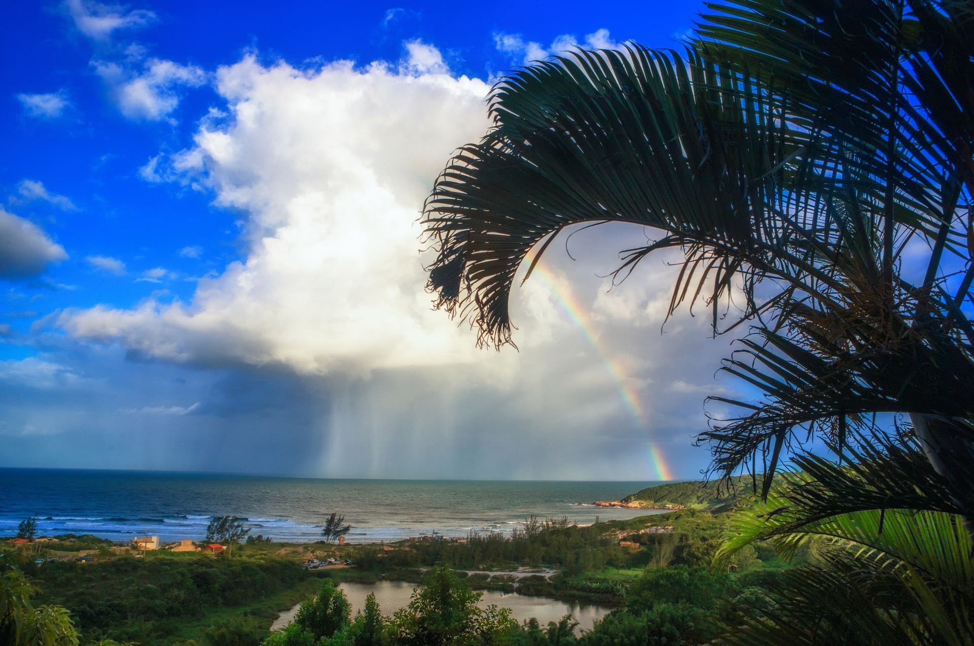 Folha de palmeira e arco-iris sobre o mar.