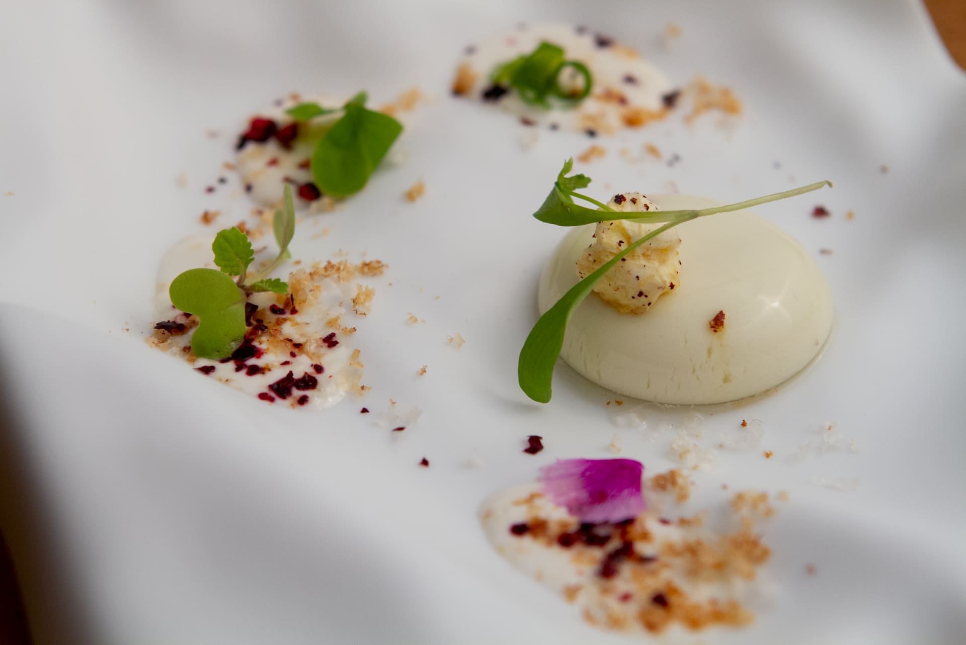 Prato branco com quenelle e ervas.